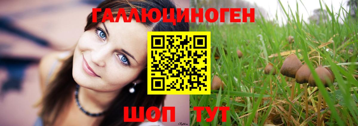 Галлюциногенные грибы мицелий  Вход с VPN  Тосно 
